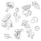 Vector monochrome mushrooms stickers. Modern black white mushrooms line art. white mushroom, chanterelles, fly agarics