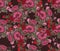 Vector Moody Florals seamless pattern