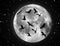 Vector moon illustration and birds
