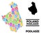 Vector Mosaic Map of Podlasie Province of Bank and Money Items