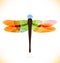 Vector multicolor dragonfly Beauty insect