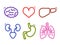 Vector multicolored human internal organs medicine icons