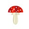 Vector mushroom from a paper on a white background