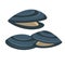 Vector mussel. Fresh and tasty seafood icon.