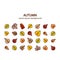 Vector nice modern fall leaves autumn decorative background banner