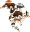 Vector North America fauna map, flat elements. Animals, birds, reptiles, insects and amphibian big set.