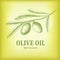 Vector olive oil. Decorative olive branch. For label, pack.