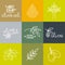 Vector olive oil icons and logo design elements