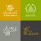Vector olive oil icons and logos