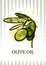 Vector olive oil label design. Watercolor olives isolated illustration.