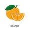 Vector Orange illustration, a vibrant depiction of a ripe orange in vector format, ideal for fresh designs