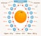 Vector orange infographics.