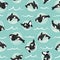 Vector Orcas in bubbles hand drawn scribble texture in sea foam green.