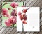Vector orchid cards for your design. Background, EPS10