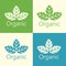 Vector Organic Leaves Ecological Logo Illustration