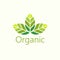 Vector Organic Leaves Logo Illustration