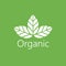 Vector Organic Leaves Logo Illustration