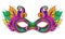 Vector Ornate Colored Mardi Gras Carnival Mask with Decorative Feathers