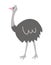 Vector ostrich icon
