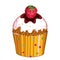 Vector outline cupcake with Raspberry red berry isolated on white background. Drawing of cake with raspberry fruit in contour.