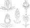 Vector outline doodle drawings of various decorative fantasy fruits