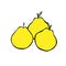 Vector outline illustration of group of three yellow pears with leaves isolated on a white background