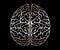 Vector Outline Illustration Of Human Brain On Black Background. Cerebral Hemispheres.Convolutions Of The Mind Brain.