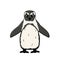 Vector outline illustration of penguin. Doodle cartoon single isolated fluffy animal on white background. Front view