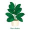 Vector outline ornamental houseplant Ficus elastic or rubber plant in beige flowerpot on white background. Indoor Ficus.