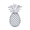 Vector outline pineapple icon