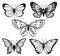 Vector outline set of contour stylized beautiful butterflies