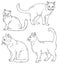 Vector outline sketches of four cats in various poses