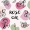 Vector packaging design elements and templates for rose oil labels and bottles