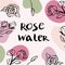 Vector packaging design elements and templates for rose water labels and bottles