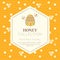 Vector packaging design - natural honey collection