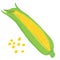 Vector painterly corn set, editable, scalable illustration.
