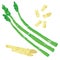 Vector painterly set with asparagus editable, scalable illustration.