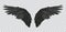 Vector pair of black realistic wings on transparent background