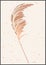 Vector pampas grass panicles botanical wall art. Abstract vase and plants home decor. Mid Century Modern aesthetics. Gentle