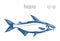 Vector pangasius fish illustration