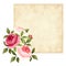 Vector parchment card with red and pink roses.