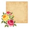 Vector parchment card with red and yellow roses.