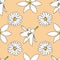 Vector pastel orange background white yellow lemony floral seamless pattern. Daisies, Lilies. Seamless pattern