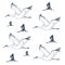 Vector pattern with birds cranes flying in the sky on white background blue birds. Ink pen sketched illustration. Grus