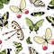 Vector pattern with butterflies. Seamless pattern with insects