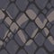 Vector Pattern of Grey Snake Skin with Ornaments