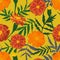 vector pattern marigold flowers on yellow background