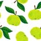 Vector pattern of watercolor green apple, hand drawn