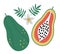 Vector pawpaw clip art. Jungle fruit illustration. Hand drawn flat exotic plants isolated on white background. Bright childish