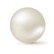 Vector pearl isolated on white background.